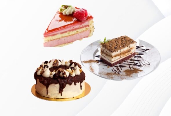 BackgroundEraser_20240220_183114697 (1)