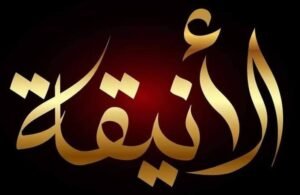 ملابس نساء جملة 19 الانيق